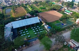 Phường Yên Nghĩa kiên quyết xử lý vi phạm trên đất nông nghiệp