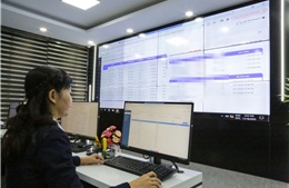 Đấu giá biển số xe năm 2025 thu hơn 5.870 tỷ đồng