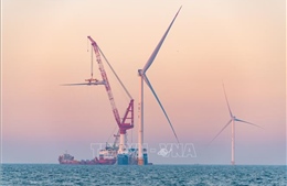 Mỹ đóng băng 5 dự án điện gió ngoài khơi vì lý do an ninh
