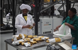 Chính sách thuế 0% của Trung Quốc tạo cú hích cho cà phê Uganda