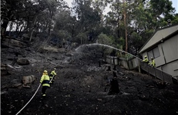 Video cháy rừng bùng phát dữ dội ở Australia gây thiệt hại lớn