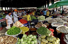 Dấu hiệu quan trọng về hướng phát triển của kinh tế Ấn Độ 