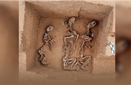 Phát hiện khảo cổ hé lộ vườn thú cổ đại 3.000 năm ở Trung Quốc