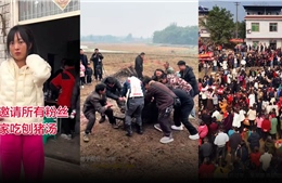 Ngôi làng ở Trung Quốc chật kín người vì tiệc mổ heo 'gây sốt' mạng xã hội