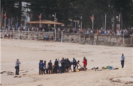 Video ghi lại vụ cá mập tấn công ở bãi biển Australia