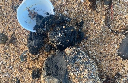 Sự cố nhà máy xử lý khiến chất thải tiếp tục trôi dạt tràn vào bãi biển Sydney