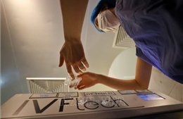 Nghiên cứu 'trẻ hóa' trứng ở phụ nữ hứa hẹn nâng tỷ lệ thành công IVF