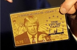 Tiền bạc hay trí tuệ sẽ mở cánh cửa vào Mỹ?