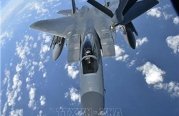 Bốn thành viên phi hành đoàn thiệt mạng sau vụ rơi máy bay quân sự Mỹ ở Iraq