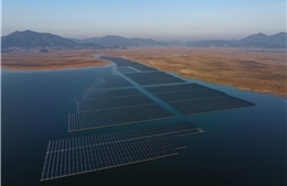 Hàn Quốc thúc đẩy chuyển đổi năng lượng tái tạo