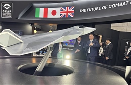 Nhật Bản sốt ruột với dự án tiêm kích thế hệ 6 do lo ngại chậm trễ từ phía Anh