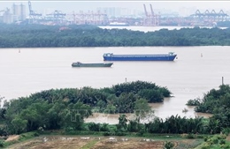 Nghiên cứu cảnh báo mực nước biển tăng cao hơn dự đoán