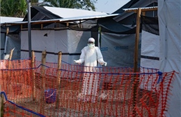 Giải mã virus Ebola đang khiến WHO báo động toàn cầu