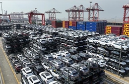 EU đối mặt nguy cơ mới do lệ thuộc hàng nhập khẩu Trung Quốc
