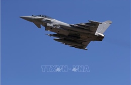 Saudi Arabia chi gần 2 tỷ USD mua 20.000 'sát thủ UAV'