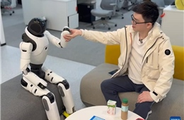 Trung Quốc chiếm 97% lượng robot hình người toàn cầu nửa đầu năm
