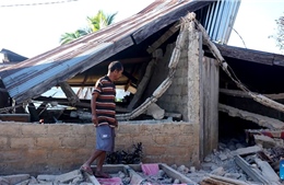 Indonesia khẩn trương tìm kiếm người sống sót sau trận động đất độ lớn 7,7