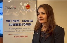Chuyên gia Canada đánh giá cao bản lĩnh đối ngoại của Việt Nam