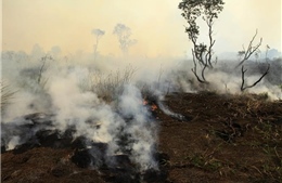 Cảnh báo đỏ cho hành tinh xanh: Thế giới bỏ lỡ mục tiêu tăng nhiệt độ dưới 1,5 độ C