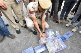 Những câu chuyện đắng lòng bên trong thị trấn lừa đảo mạng Jamtara ở Ấn Độ 