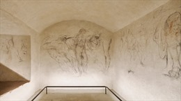 &#39;Căn phòng bí mật&#39; của Michelangelo mở cửa cho công chúng