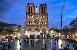 Bên trong đại công trình trùng tu Nhà thờ Đức Bà Paris