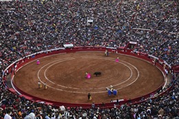 Lễ hội đấu bò được tổ chức trở lại tại Mexico sau thời gian bị cấm