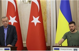 Tổng thống Ukraine thăm Thổ Nhĩ Kỳ 