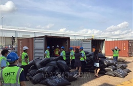 Phát hiện hơn 5 tấn vảy sừng tê tê trong 2 container tại cảng Cái Mép