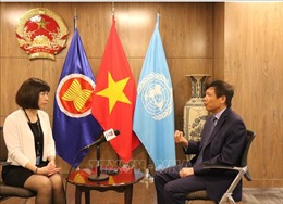 Cơ hội Việt Nam trúng cử vị trí Ủy viên không thường trực Hội đồng bảo an Liên hợp quốc là rất lớn