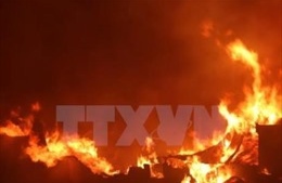 33 người thiệt mạng vì cháy rừng ở Sudan