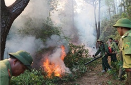 Đám cháy tại Nghi Xuân (Hà Tĩnh) bùng phát trở lại