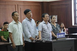 Làm giả hồ sơ để buôn lậu gỗ từ Lào về Việt Nam, hai vợ chồng ngồi tù 