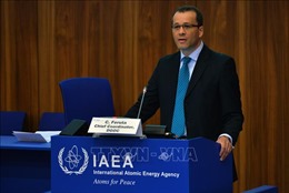 IAEA bổ nhiệm quan chức ngoại giao Romania làm quyền Tổng Giám đốc