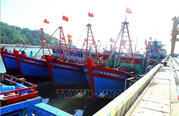 Sớm xử lý dứt điểm tàu thuyền neo đậu trái phép tại cảng Cửa Lò