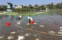 Triển khai Nghị định của Chính phủ về phòng thủ dân sự