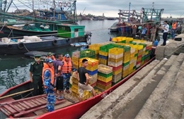 Sáu cán bộ hải quan cửa khẩu Móng Cái phải làm tường trình về quản lý đường biên giới