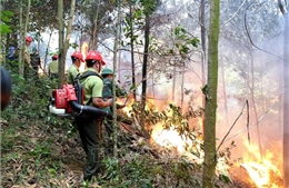 Diễn tập chữa cháy rừng cấp quốc gia năm 2019