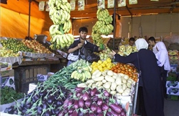 Israel nối lại hoạt động nhập khẩu nông sản của Palestine