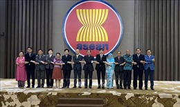 Năm Chủ tịch ASEAN 2020: ASEAN+3 đạt nhiều thành tựu hợp tác