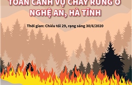 Toàn cảnh vụ cháy rừng ở Nghệ An, Hà Tĩnh