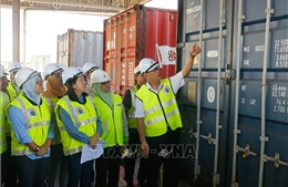 Phát hiện 110 container chứa chất thải độc hại cập cảng Malaysia