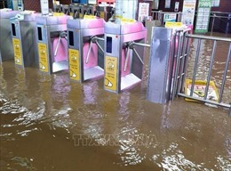 Mưa lớn gây thiệt hại tại nhiều khu vực của Hàn Quốc