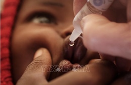 Mozambique ban bố tình trạng khẩn cấp y tế do bệnh bại liệt