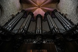 Pháp bắt đầu phục hồi chiếc đàn organ ống của Nhà thờ Đức Bà