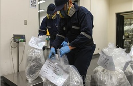 Peru bắt giữ đối tượng vận chuyển 7kg ma túy tại sân bay