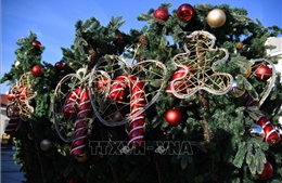 Thủ đô Madrid trang hoàng rực rỡ đón mừng Giáng sinh 