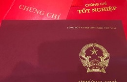 Bình Thuận: Rà soát văn bằng, chứng chỉ của cán bộ, công chức, viên chức
