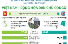 Quan hệ Việt Nam - Cộng hòa dân chủ Congo
