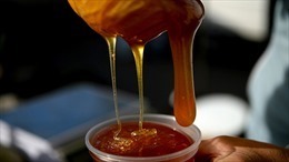 DOC khởi xướng điều tra chống bán phá giá mật ong xuất xứ từ Việt Nam